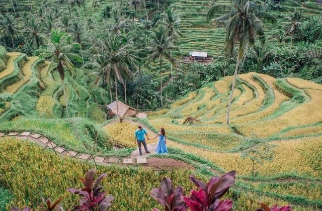 10+ imagini care te vor face sa crezi ca asa arata paradisul