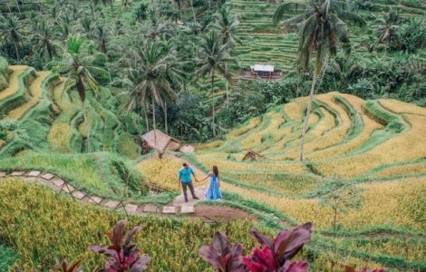  Top  10+ imagini care te vor face sa crezi ca asa arata paradisul