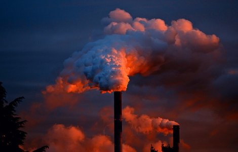 OMS - 7 milioane de oameni mor in fiecare an din cauza expunerii la aer poluat