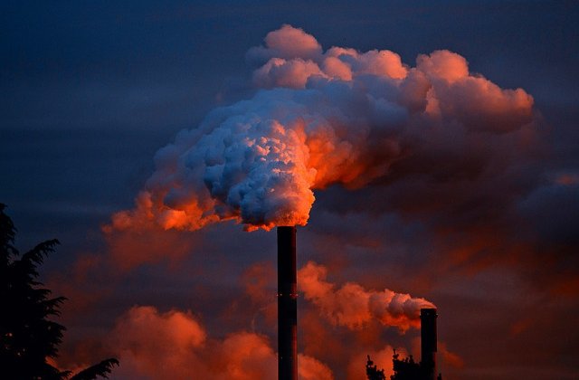 OMS - 7 milioane de oameni mor in fiecare an din cauza expunerii la aer poluat