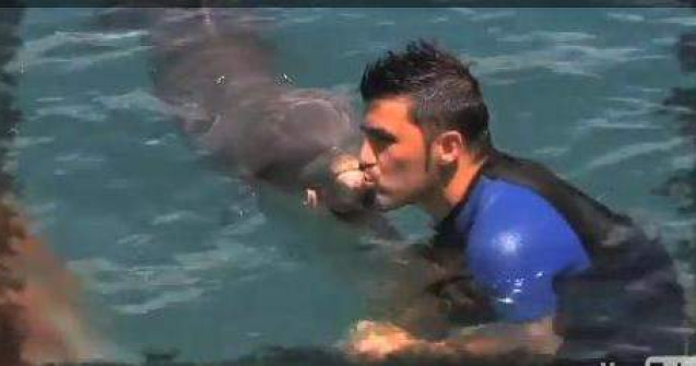 FC Barcelona a primit gol de la un delfin