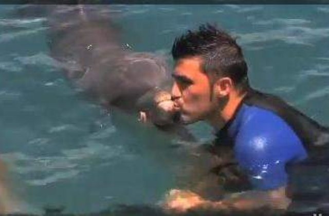 FC Barcelona a primit gol de la un delfin