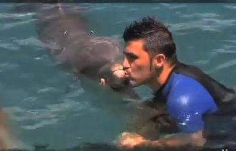 FC Barcelona a primit gol de la un delfin