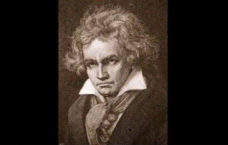  Top  Zece cantareti cu probleme de auz