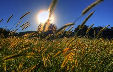  Top  Vremea in weekend la munte si la mare