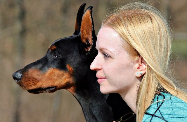 15+ trasaturi ce pot fi intuite in functie de rasa de caine pe care o ai