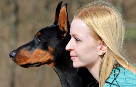  Top  15+ trasaturi intuite in functie de rasa de caine pe care o ai