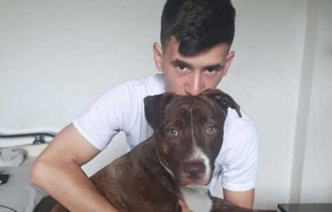 Un timisoarean a primit amenzi de 1.600 lei pentru ca un vecin nu isi da acordul pentru pastarea unui caine la bloc