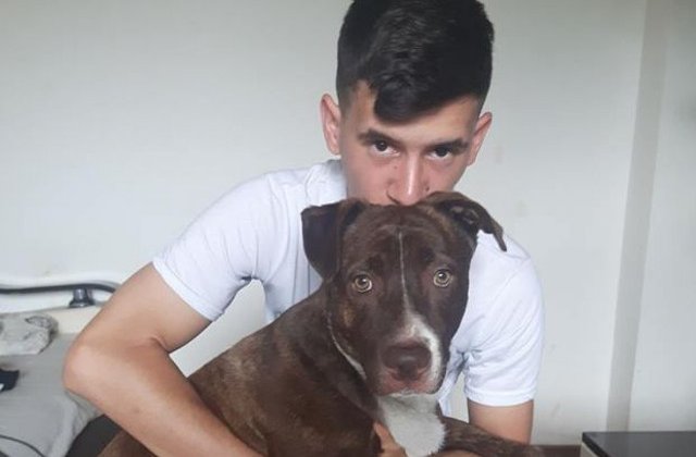 Un timisoarean a primit amenzi de 1.600 lei pentru ca un vecin nu isi da acordul pentru pastarea unui caine la bloc