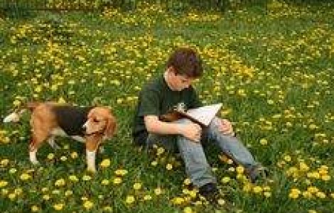 Visul american prin ochii unui orfan roman