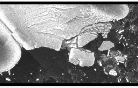 ALERTA: Cutremurul din Japonia a desprins aisberguri in Antarctica