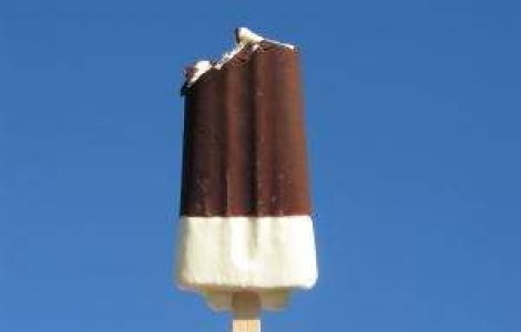 Tranzactie pe piata inghetatei: Unilever cumpara Darko