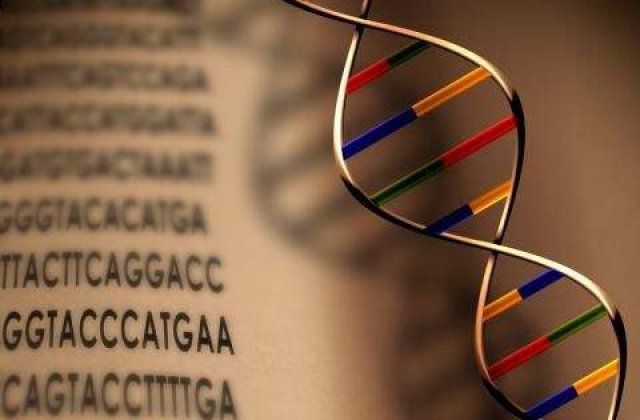 Unele componente ale ADN-ului provin din meteoriti