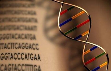 Unele componente ale ADN-ului provin din meteoriti