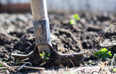 O racheta antigrindina a cazut in curtea unei familii din Frumusica/ VIDEO