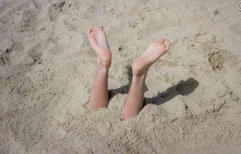 2 unguri si un sarb ingropau de vii oamenii pentru a le fura PIN-urile