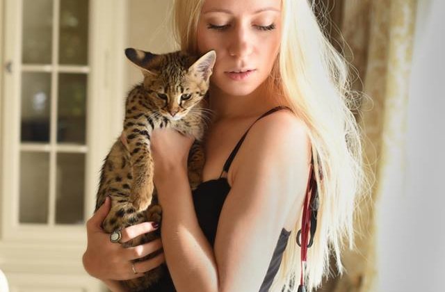 Top 10 cele mai scumpe rase de pisici din lume