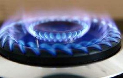 Razboiul gazelor: Livrarile vor fi reluate dupa ce vor fi trimisi observatori la granita