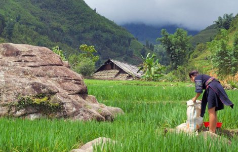  Top  Sfintii Constantin si Elena: De ce nu este indicat sa muncesti in aceasta zi mare