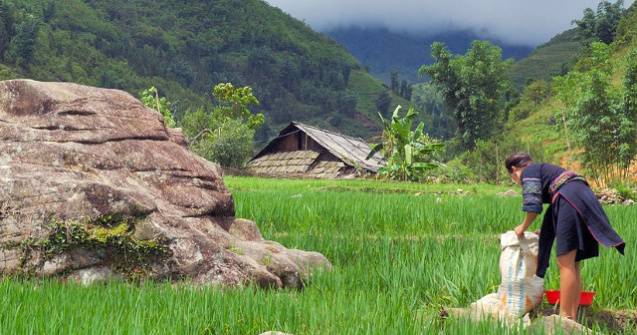  Top  Sfintii Constantin si Elena: De ce nu este indicat sa muncesti in aceasta zi mare