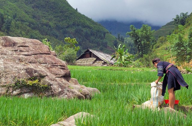 Sfintii Constantin si Elena: De ce nu este indicat sa muncesti in aceasta zi mare