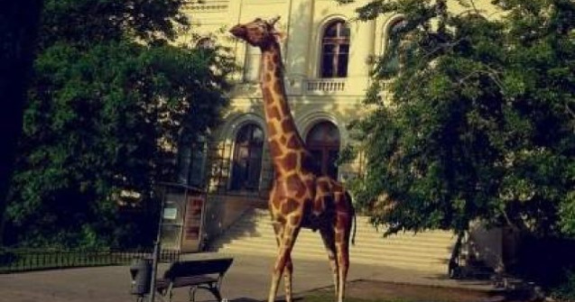 Salariatii din muzee au protestat fata de nivelul de salarizare si conditiile de munca