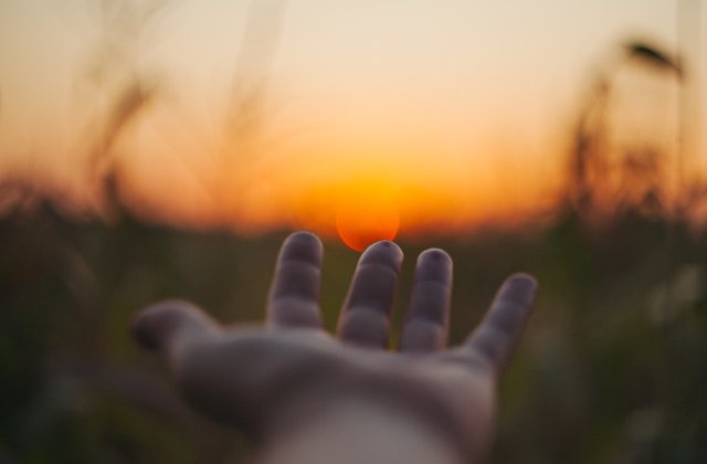 Se sperie mai usor si se accidenteaza mai des. 10+ curiozitati despre stangaci