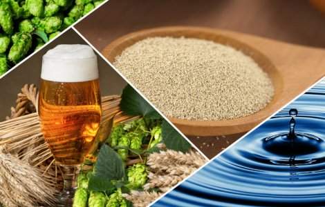 Legumele cu frunze verzi, cerealele integrale si berea, posibili aliati ai sistemului osos