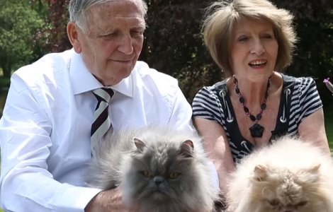 Un barbat a divortat de sotia sa pentru ca avea 7 pisici, insa s-a recasatorit cu ea dupa 30 de ani, cand aceasta are 40 de feline
