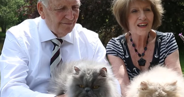 Un barbat a divortat de sotia sa pentru ca avea 7 pisici, insa s-a recasatorit cu ea dupa 30 de ani, cand aceasta are 40 de feline