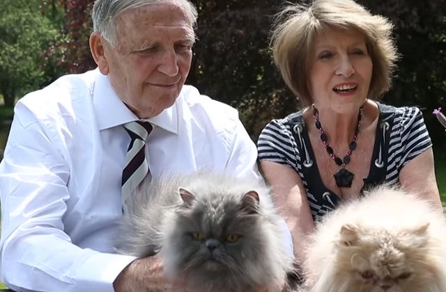 Un barbat a divortat de sotia sa pentru ca avea 7 pisici, insa s-a recasatorit cu ea dupa 30 de ani, cand aceasta are 40 de feline