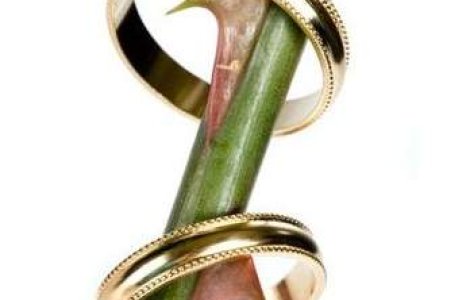  Top  Topul celor mai rasunatoare divorturi din Romania ale anului