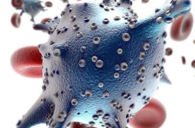 Cele mai vechi fosile de microbi de pe Terra, descoperite in Australia