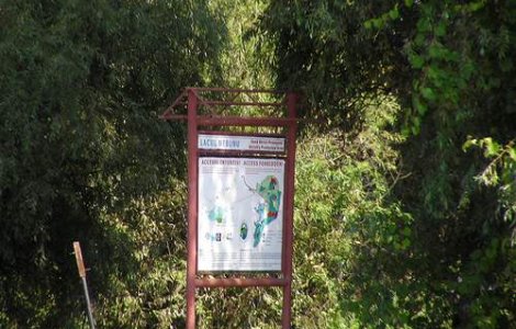 Ce a declansat incendiul din Delta Dunarii?