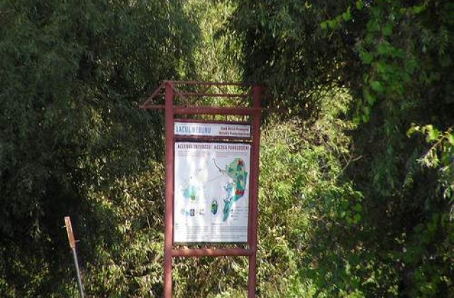 Ce a declansat incendiul din Delta Dunarii?