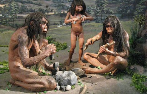  Top  Homo erectus, primul maestru bucatar al omenirii