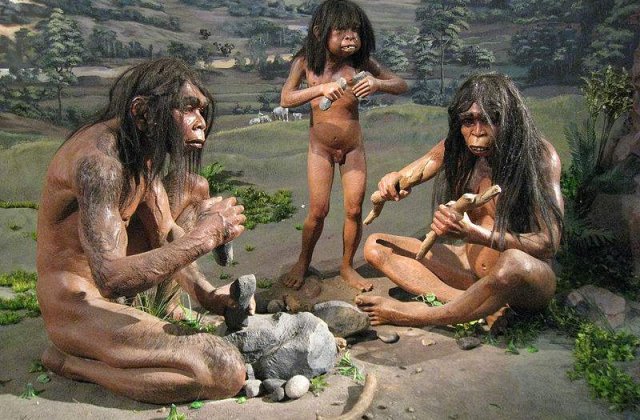 Homo erectus, primul maestru bucatar al omenirii