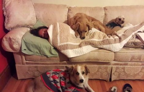  Top  10 imagini care arata ca iubirea cainilor este neconditionata