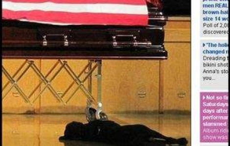 Un caine devotat refuza sa plece de langa sicriul stapanului