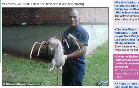 Sobolan de 1 metru, capturat pe strazile din New York