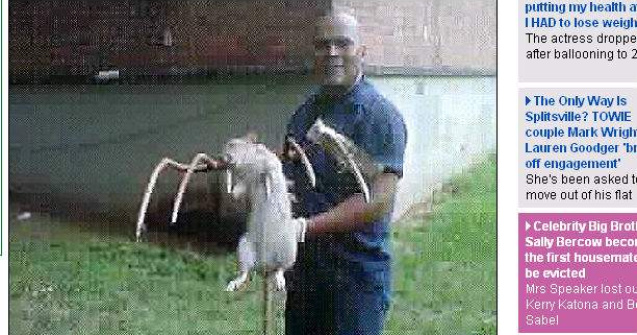 Sobolan de 1 metru, capturat pe strazile din New York