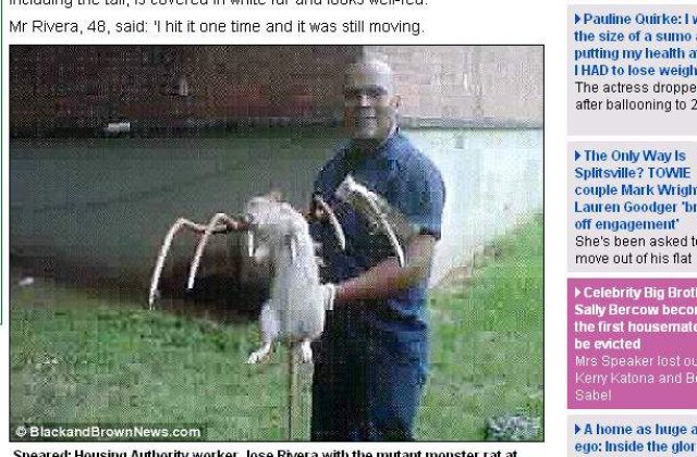 Sobolan de 1 metru, capturat pe strazile din New York