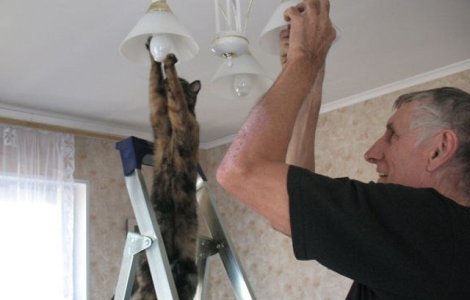  Top  10+ momente amuzante, surprinse cand animalele adopta obiceiuri umane