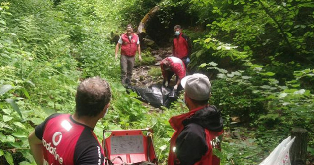 Trupul unui barbat disparut de doua saptamani a fost gasit intr-un parau din munti