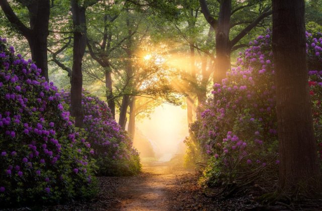 10 imagini pe care orice persoana "obsedata" de perfectiune le va aprecia