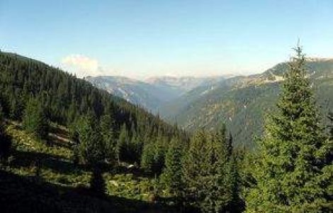  Top  Turism cu buzunarele goale