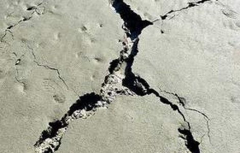 Cutremur puternic resimtit in Alaska