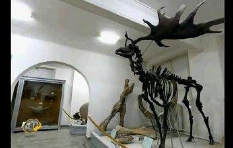 Muzeul Grigore Antipa se redeschide luna aceasta