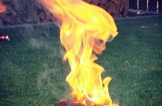 10+ imagini care te vor scoate din starea de plictiseala