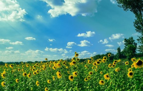 Prognoza in urmatoarele doua saptamani. Vremea ramane calda, dar nu lipsesc ploile